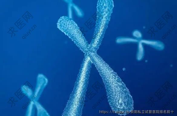 资阳私立试管医院排名前十