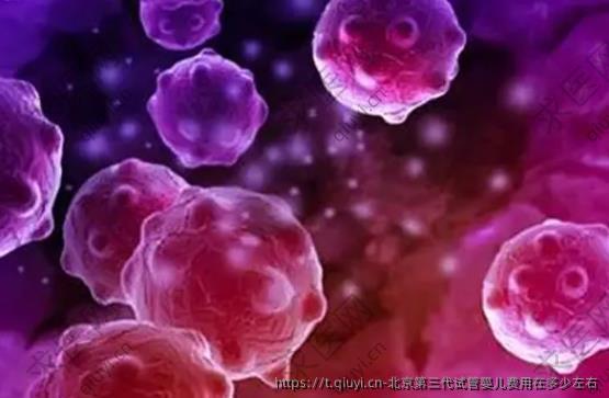 北京第三代试管婴儿费用在多少左右