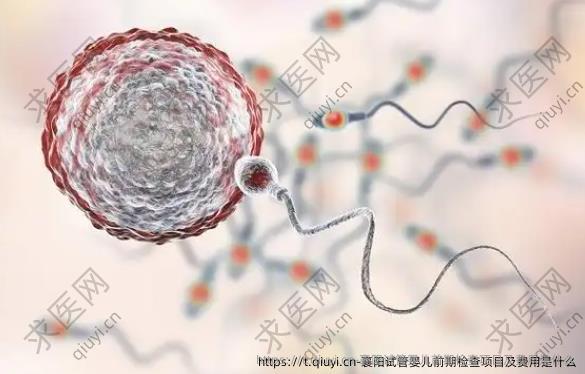 襄阳试管婴儿前期检查项目及费用是什么