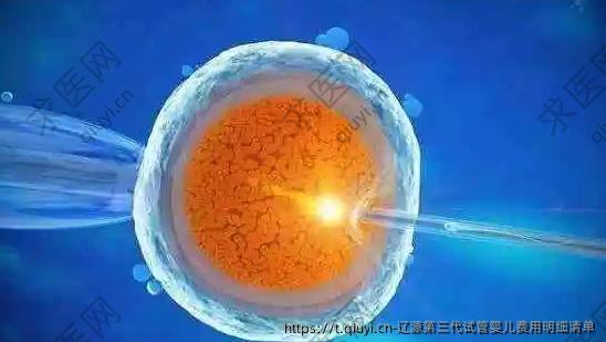 辽源第三代试管婴儿费用明细清单