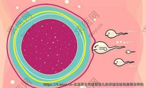 本溪第三代试管婴儿的详细流程和费用怎样的