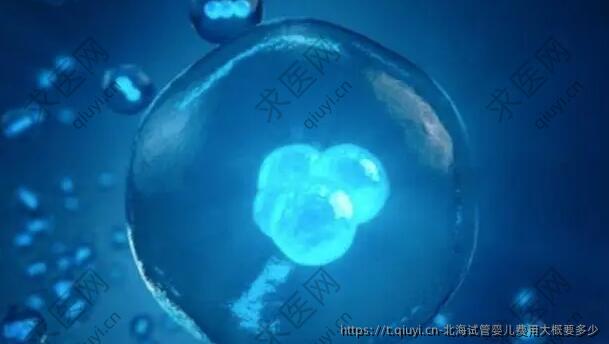 北海试管婴儿费用大概要多少