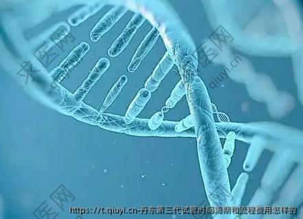 丹东三：代试管时间周期和流程费用怎样的