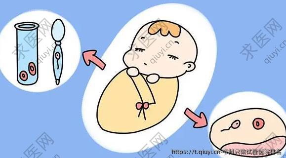 柳州只做试管医院排名