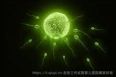 吉安三代试管婴儿医院哪家好些