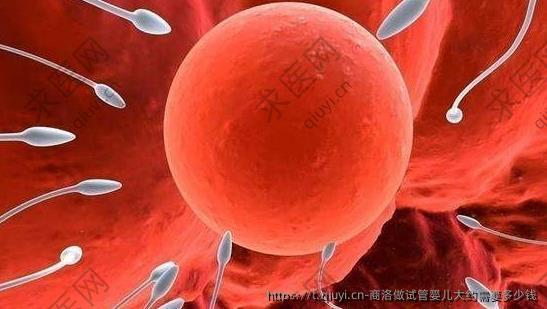 商洛做试管婴儿大约需要多少钱