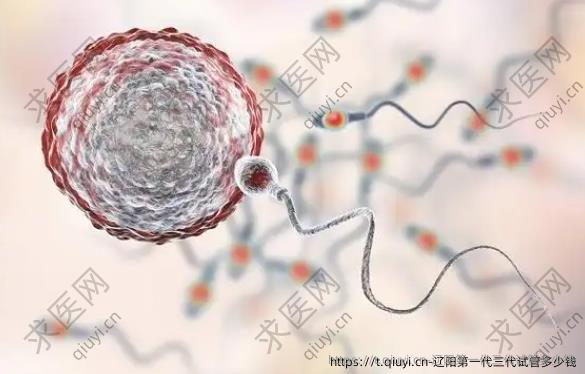 辽阳一：代三代试管多少钱