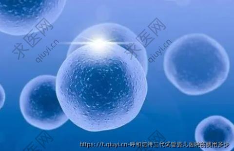 呼和浩特三代试管婴儿医院的费用多少