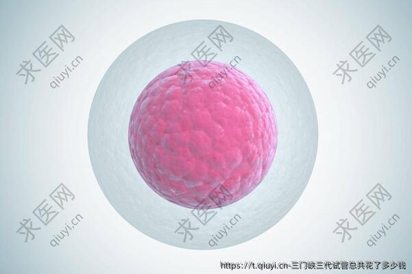三门峡三代试管总共花了多少钱