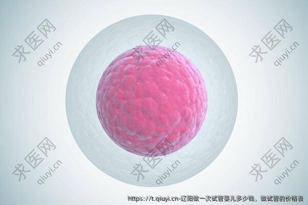 辽阳做一次试管婴儿多少钱，做试管的价格表