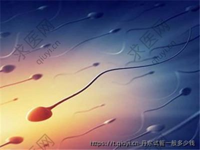丹东试管一般多少钱