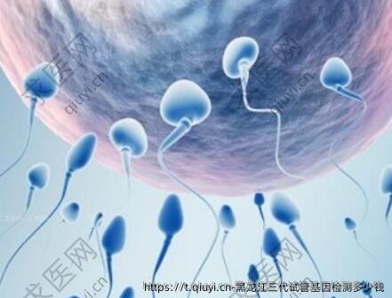 黑龙江三代试管基因检测多少钱