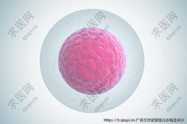 广州三代试管婴儿价格是多少