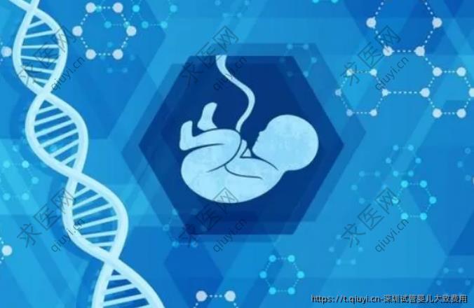 深圳试管婴儿大致费用