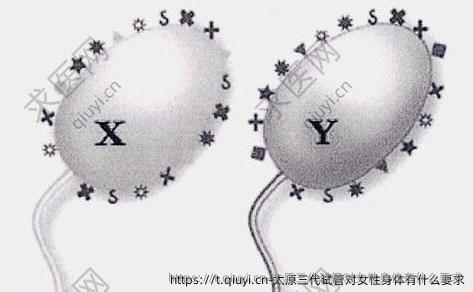 太原三代试管对女性身体有什么要求