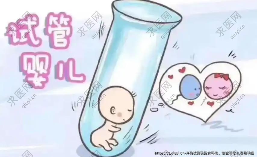 许昌试管医院价格表，做试管婴儿费用明细