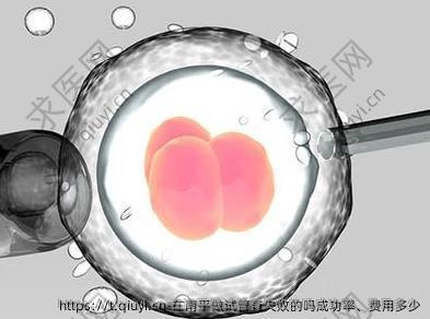 在南平做试管有失败的吗成功率、费用多少