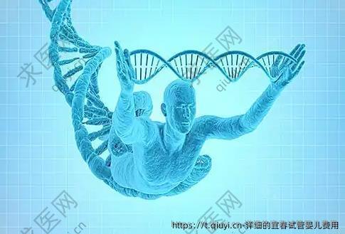 详细的宜春试管婴儿费用