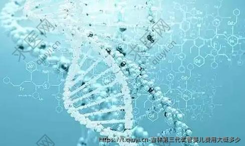 吉林第三代试管婴儿费用大概多少