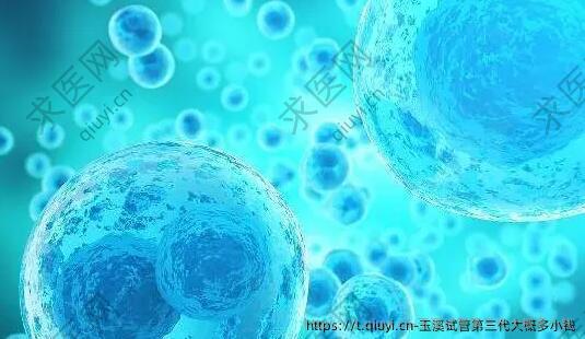 玉溪试管第三代大概多小钱