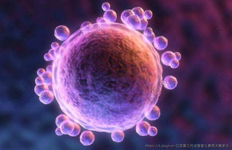 江苏第三代试管婴儿费用大概多少