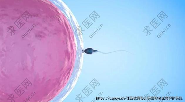 江西试管婴儿医院排名比较好的医院