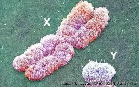 南京三代试管怀孕保胎多少钱