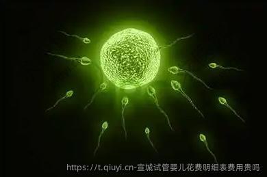 宣城试管婴儿花费明细表费用贵吗