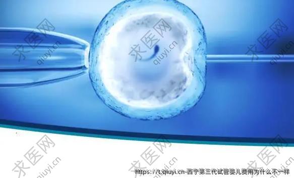 西宁第三代试管婴儿费用为什么不一样