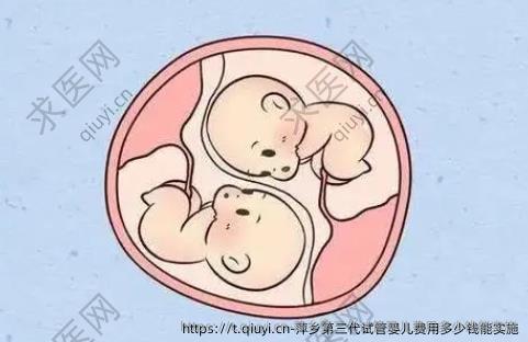 萍乡第三代试管婴儿费用多少钱能实施