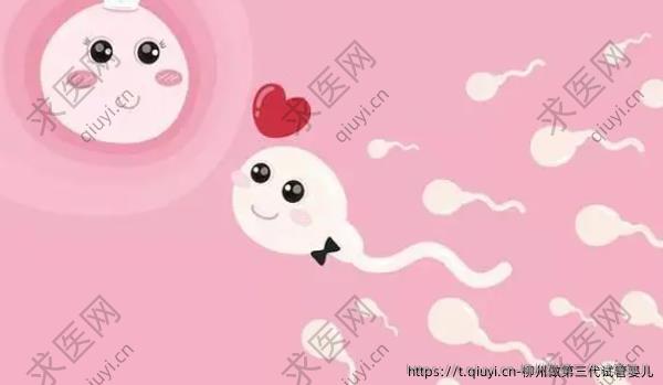 柳州做三：代试管婴儿