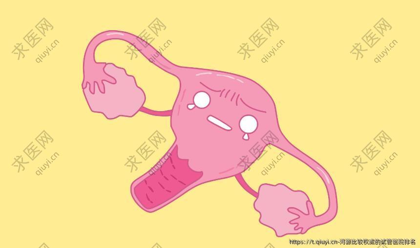 河源比较优秀的试管医院排名