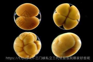 三门峡私立三孕试管医院哪家好些呢