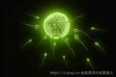 金昌第四代试管婴儿